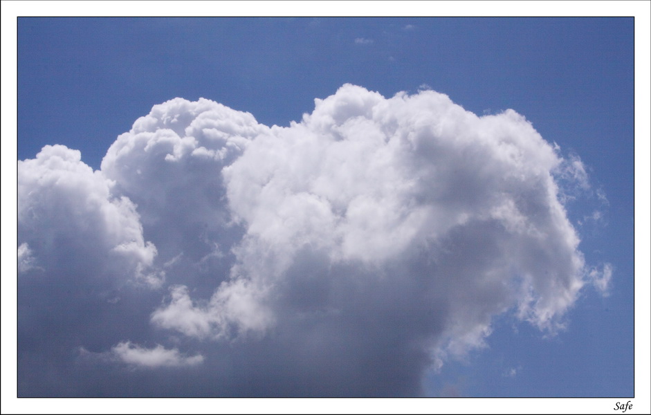 2009   05   Ferte Alais   114